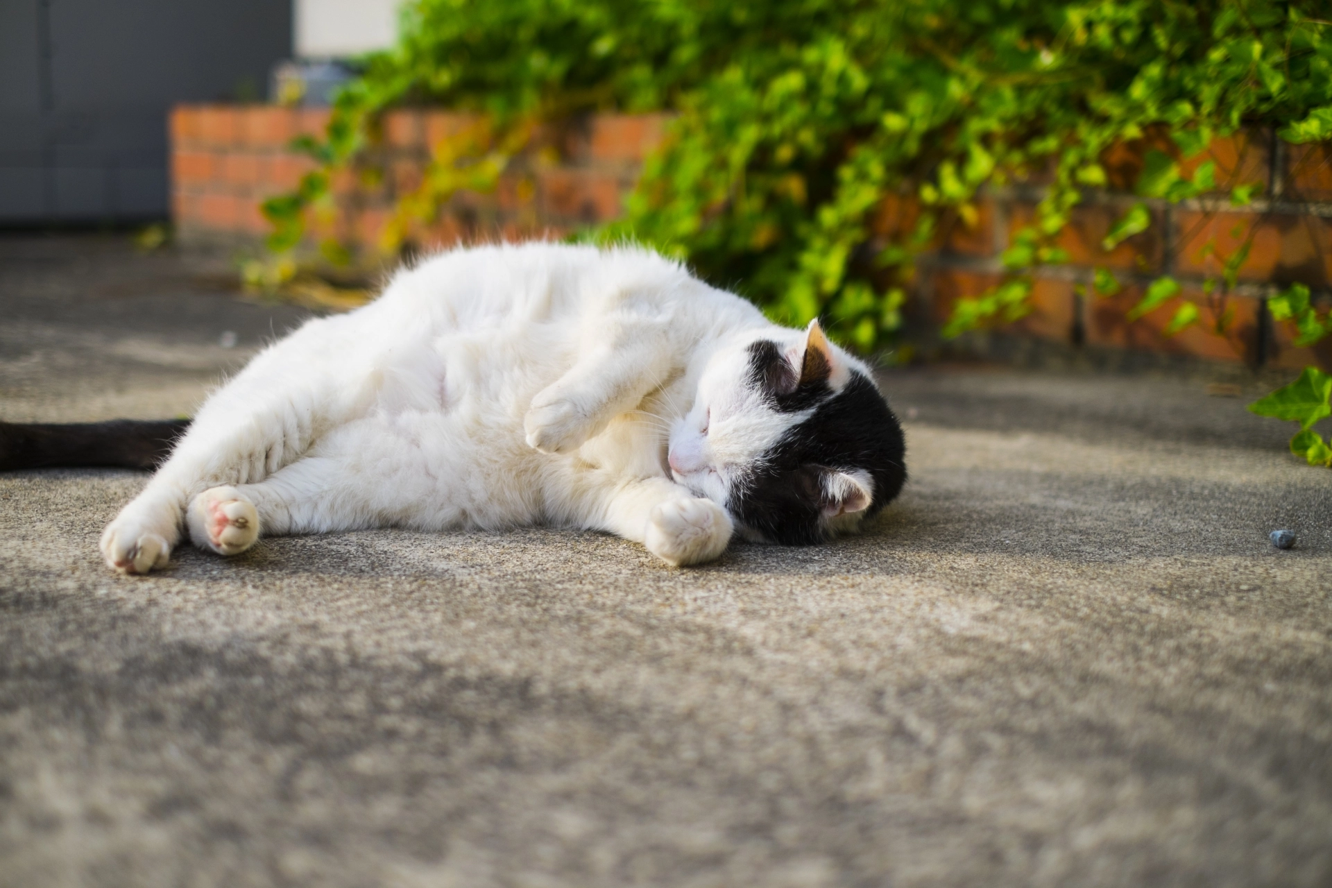 弓漿蟲,弓漿蟲治療,弓漿蟲檢查,弓漿蟲懷孕,弓漿蟲嬰兒