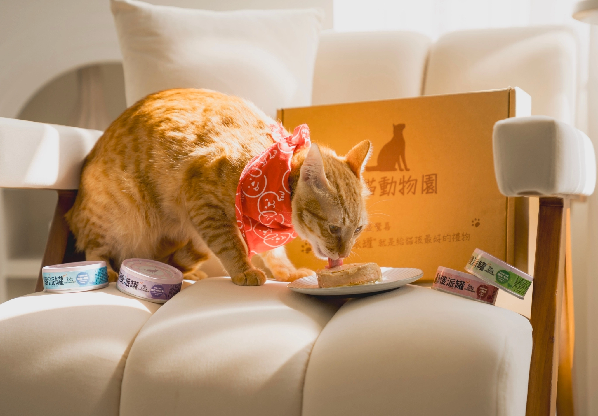 主食罐,貓主食罐推薦,貓主食罐