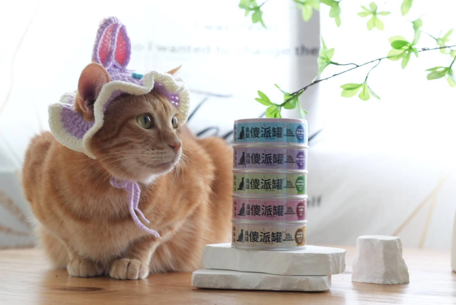 展昭寵物展,展昭寵物展品牌